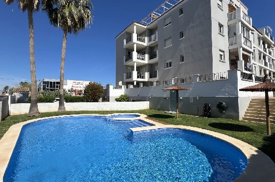 apartment-in-Denia-for-holiday-rental-T-0324-1.webp