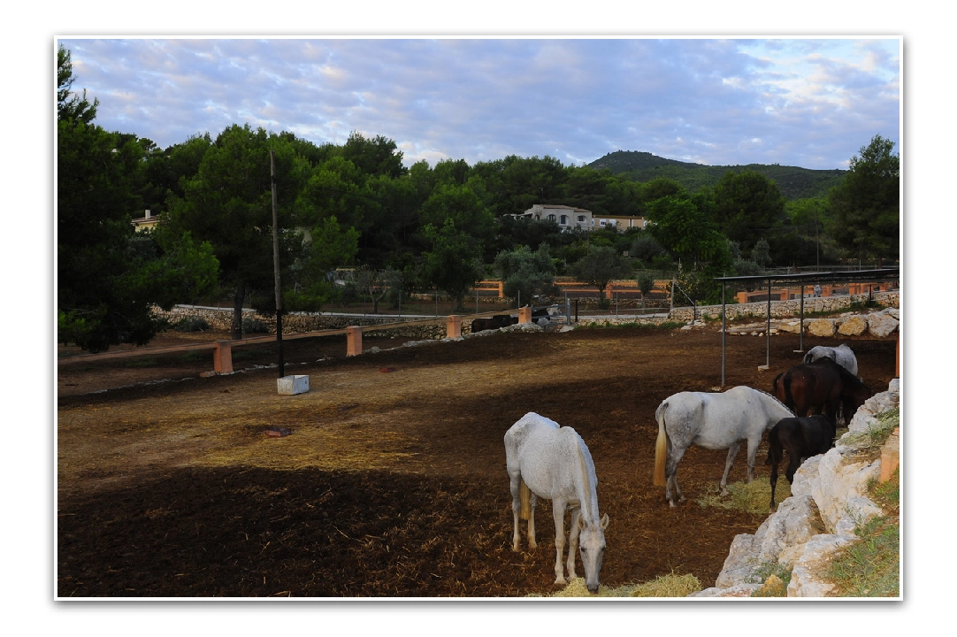 villa en Javea en venta, superficie 420 m², aire acondicionado, parcela 18000 m², 5 dormitorios, 3 banos, piscina, ref.: PR-PPS1295-20