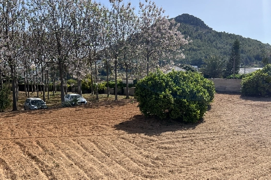 Finca in Pedreguer zu verkaufen, Wohnfläche 400 m², + KLIMA, Grundstück 12000 m², 2 Schlafzimmer, 2 Badezimmer, ref.: JS-0624-36