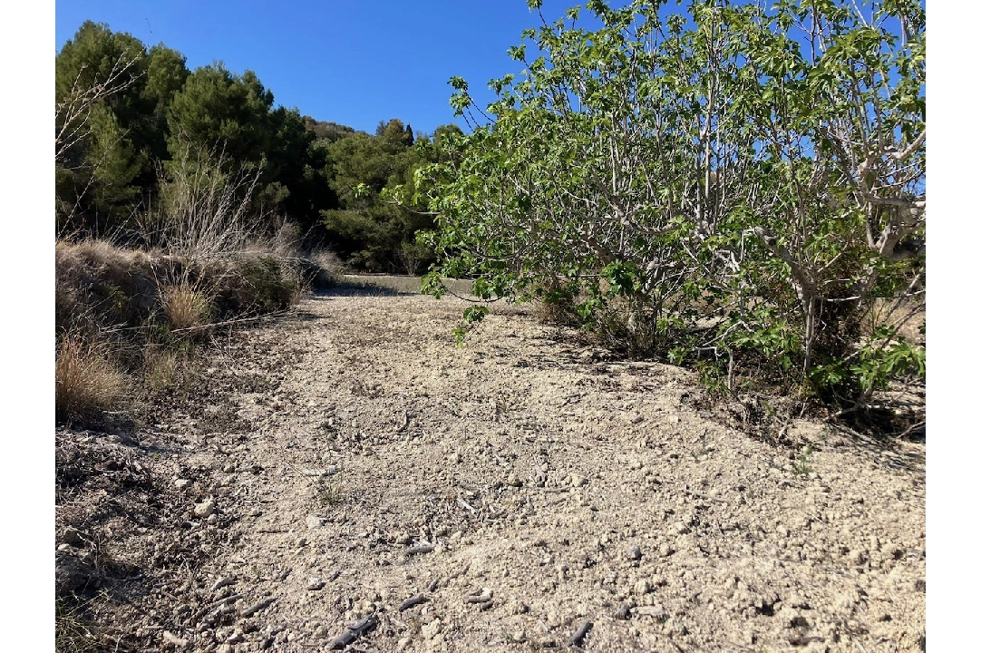 terreno en Benissa(Benissa) en venta, parcela 10894 m², ref.: CA-G-1771-AMB-10