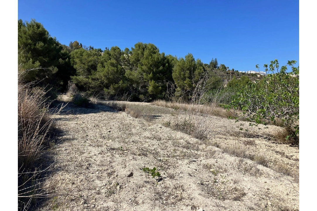 terreno en Benissa(Benissa) en venta, parcela 10894 m², ref.: CA-G-1771-AMB-13