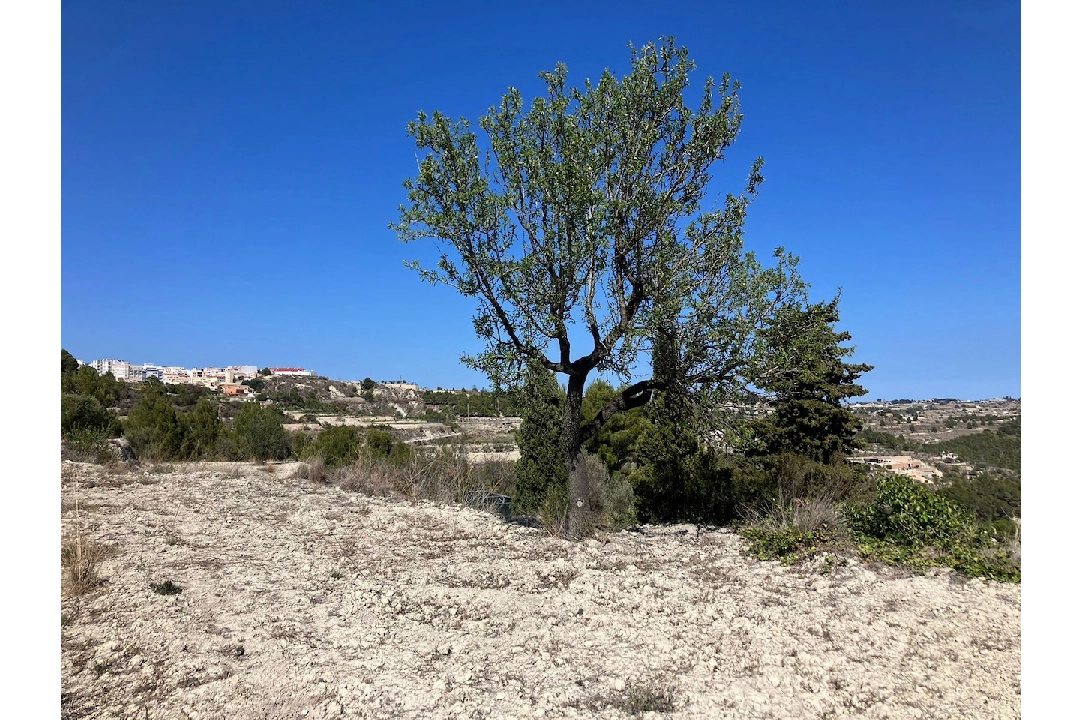 terreno en Benissa(Benissa) en venta, parcela 10894 m², ref.: CA-G-1771-AMB-6