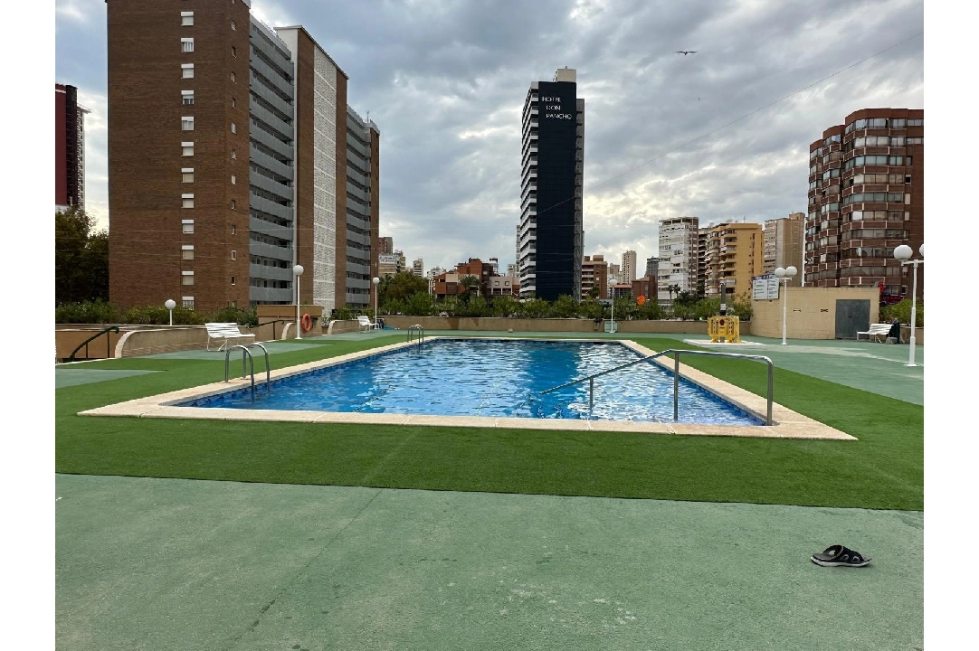 apartamento en Benidorm(Avenida del Mediterraneo) en venta, superficie 63 m², aire acondicionado, 1 dormitorios, 1 banos, piscina, ref.: COB-13065-10535-10