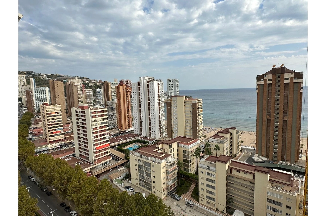 apartamento en Benidorm(Avenida del Mediterraneo) en venta, superficie 63 m², aire acondicionado, 1 dormitorios, 1 banos, piscina, ref.: COB-13065-10535-3