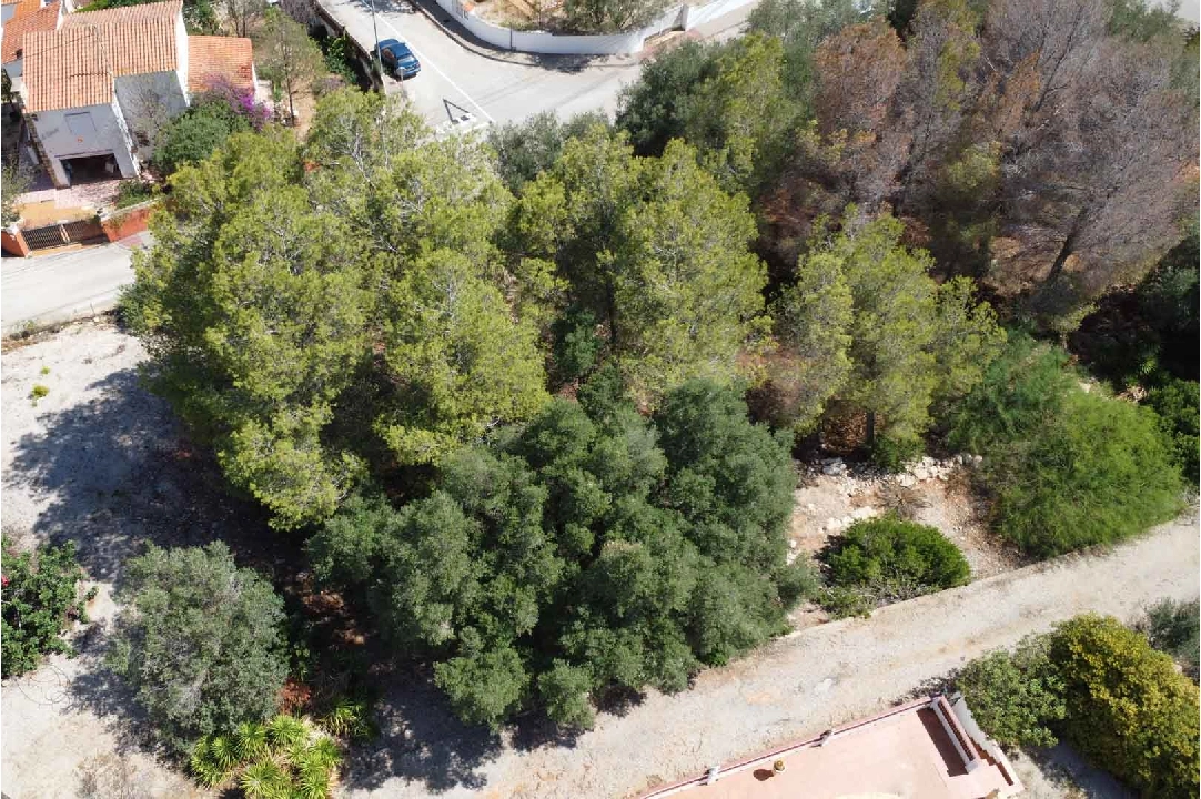 terreno en Denia(Don Quijote) en venta, parcela 3034 m², ref.: BP-8192DEN-5