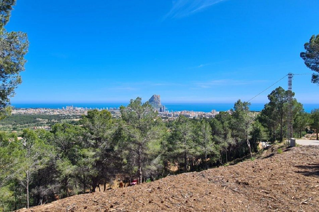 terreno en Calpe en venta, aire acondicionado, parcela 5150 m², piscina, ref.: AM-11749NS-5