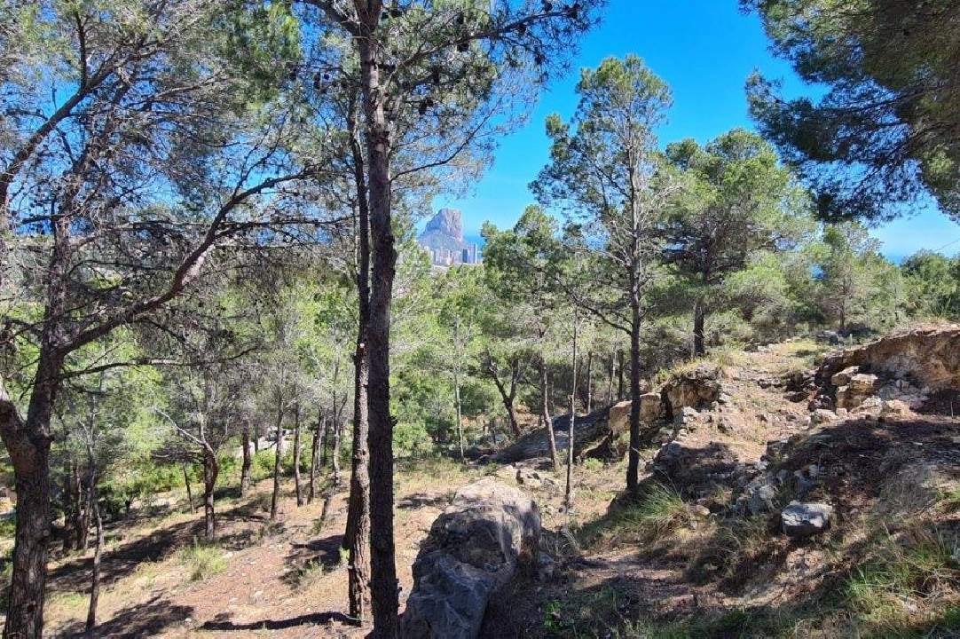 terreno en Calpe en venta, aire acondicionado, parcela 2500 m², piscina, ref.: AM-11750DA-5