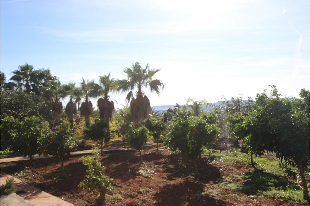 finca en Benissa(Canor) en venta, superficie 960 m², parcela 15000 m², 15 dormitorios, 14 banos, piscina, ref.: COB-3322-10535-48