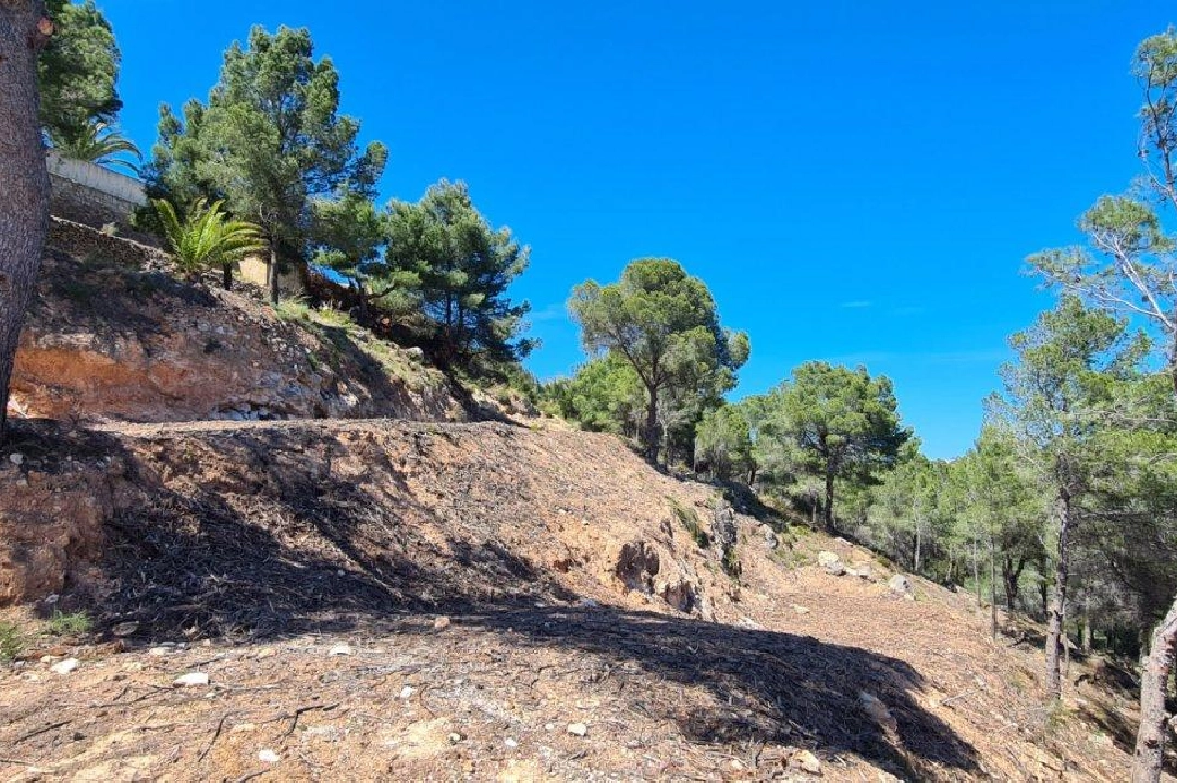 terreno en Calpe en venta, aire acondicionado, parcela 2500 m², ref.: AM-11750NS-3