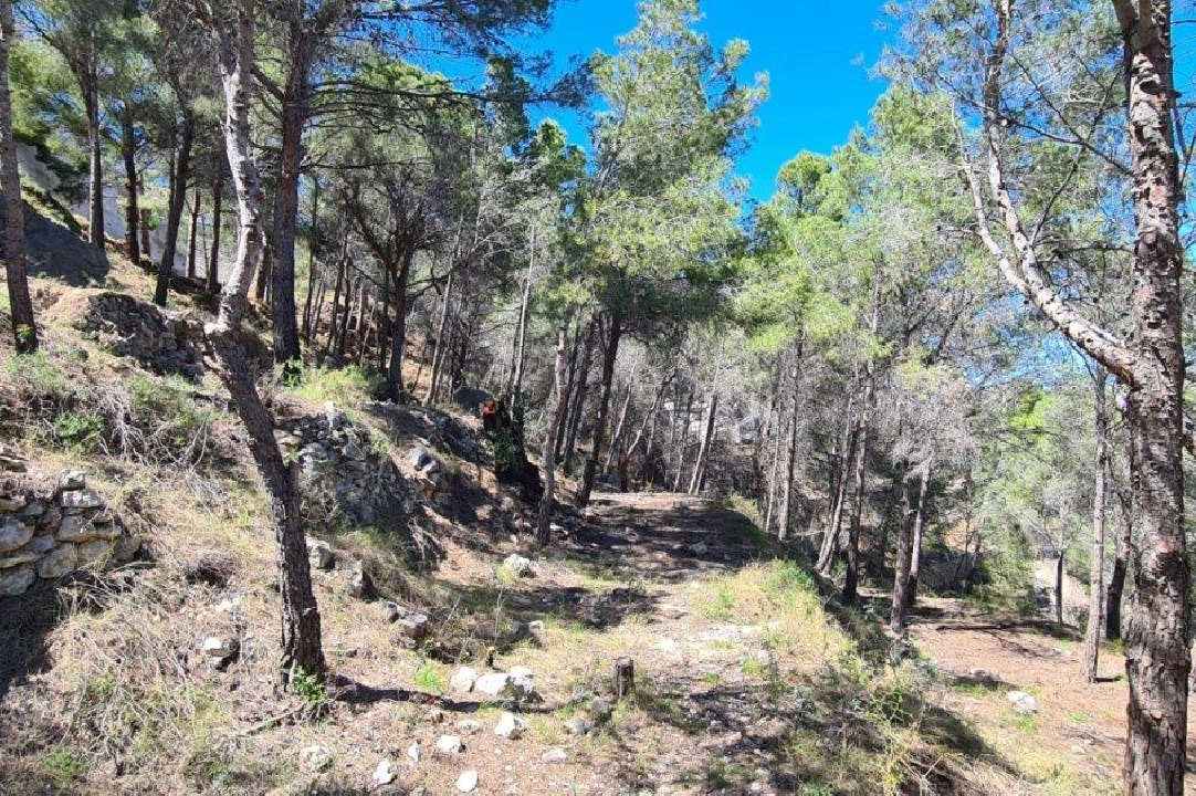 terreno en Calpe en venta, aire acondicionado, parcela 2500 m², ref.: AM-11750NS-4