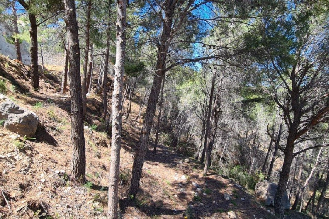 terreno en Calpe en venta, aire acondicionado, parcela 2500 m², ref.: AM-11750NS-6