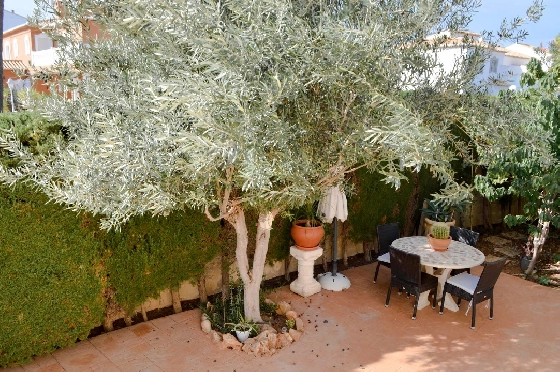 Villa in Denia zu verkaufen, Wohnfläche 121 m², Klimaanlage, Grundstück 623 m², 4 Schlafzimmer, 2 Badezimmer, Pool, ref.: CO-C25935-42