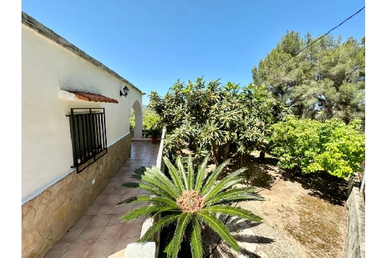 Finca in Pego zu verkaufen, Wohnfläche 45 m², Baujahr 1985, + Ofen, Klimaanlage, Grundstück 4600 m², 2 Schlafzimmer, 1 Badezimmer, Pool, ref.: O-V94614-19