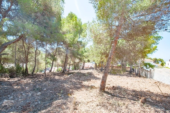Wohngrundstück in Moraira zu verkaufen, Klimaanlage, Grundstück 2177 m², Pool, ref.: AM-12200DA-13