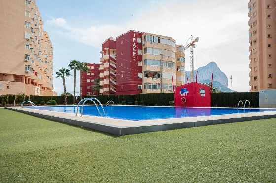 Apartment in Calpe(Playa de Fossa Levante) zu verkaufen, Wohnfläche 55 m², Klimaanlage, 1 Schlafzimmer, 1 Badezimmer, Pool, ref.: COB-3554-10535-3